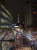 けやき坂のイルミネーション(6)・東京タワー「ダイヤモンドヴェール・ホワイトダイヤモンド」と共に