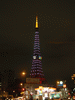 東京タワーの新ライトアップ「ダイヤモンドヴェール・ホワイトダイヤモンド」／赤羽橋(4)