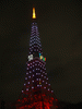 東京タワーの新ライトアップ「ダイヤモンドヴェール・ホワイトダイヤモンド」／タワー近くにて(3)