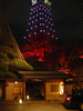 東京タワーの新ライトアップ「ダイヤモンドヴェール・ホワイトダイヤモンド」／タワー近くにて(6)
