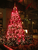 TOKIAのクリスマスツリー(1)