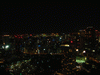 東京タワー 大展望台2階からの夜景(5)