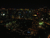 東京タワー 大展望台2階からの夜景(9)