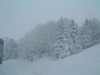 樹氷高原駅の雪景色(1)