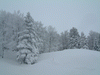 樹氷高原駅の雪景色(2)