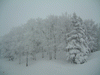 樹氷高原駅からの雪景色