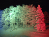 樹氷高原駅の幻想的な夜景(3)