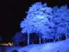 樹氷高原駅の幻想的な夜景(6)