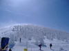 快晴の樹氷観光(7)／地蔵山頂の樹氷