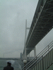 マリーンルージュからの風景(8)／横浜ベイブリッジをくぐります