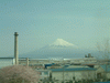 のぞみ103号から眺める富士山(6)