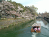 琵琶湖疏水と桜(2)／岡崎桜回廊十石舟めぐりと共に