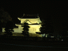 二条城のライトアップ(1)