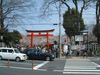 平野神社の桜(1)