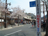 嵐山の桜(2)／長辻通