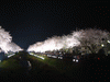 調布・野川の桜のライトアップ(17)