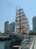 帆船日本丸／総帆展帆(10)