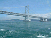 大鳴門橋とうずしお(4)