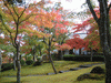 箱根美術館の紅葉(12)
