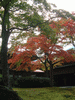 箱根美術館の紅葉(13)