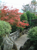 箱根美術館の紅葉(15)