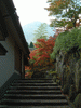 箱根美術館の紅葉(16)