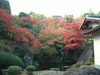 箱根美術館の紅葉(17)