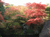 箱根美術館の紅葉(20)