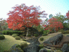 箱根美術館の紅葉(23)
