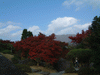 箱根美術館の紅葉(29)