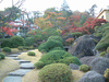 箱根美術館の紅葉(30)
