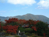 箱根美術館の紅葉(31)