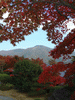 箱根美術館の紅葉(32)