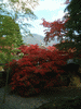 箱根美術館の紅葉(41)
