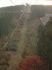 箱根ロープウェイからの眺め(29)／紅葉