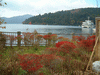 芦ノ湖(5)