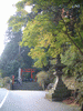 箱根神社(3)