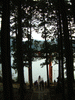箱根神社(10)