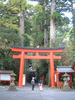 箱根神社(11)