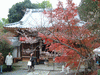 赤山禅院(19)／紅葉と寒桜