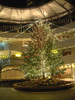 横浜ベイクォーターのクリスマスツリー(3)