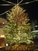 横浜ベイクォーターのクリスマスツリー(5)