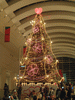 クイーンズスクエアのクリスマスツリー(1)