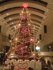 クイーンズスクエアのクリスマスツリー(4)