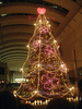クイーンズスクエアのクリスマスツリー(6)