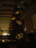 クイーンズスクエアのクリスマスツリー(7)