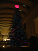 クイーンズスクエアのクリスマスツリー(9)