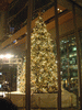 丸ビルのクリスマスツリー