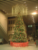 丸の内 MY PLAZAのクリスマスツリー(1)