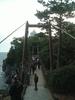 門脇吊橋(3)